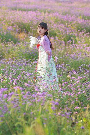 两个儿媳高清免费版电视剧